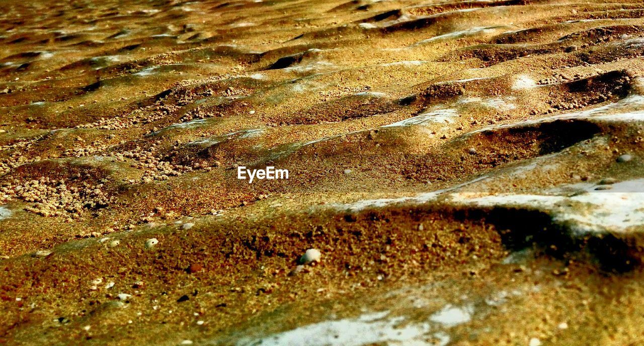 FULL FRAME SHOT OF WATER IN SHALLOW