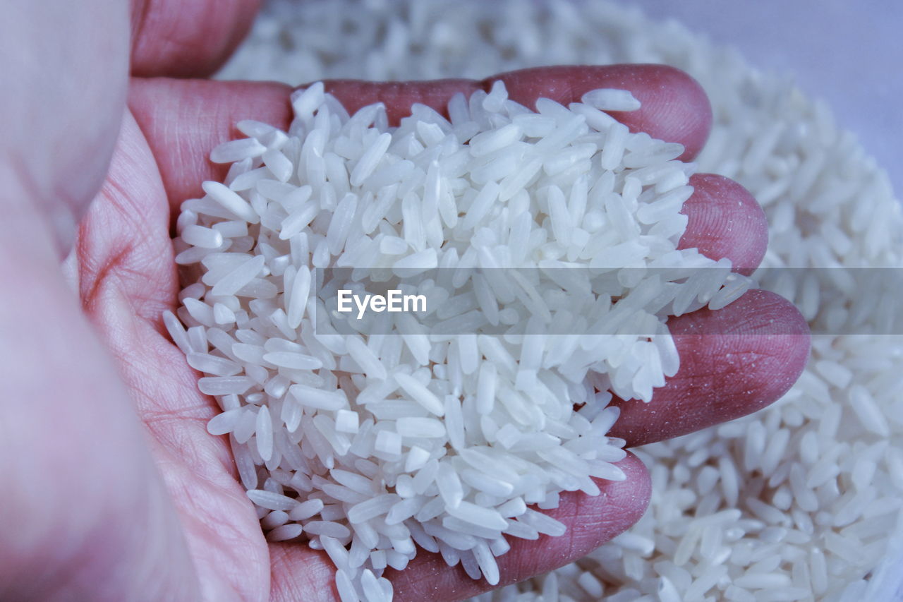 High angle view of hand holding rice