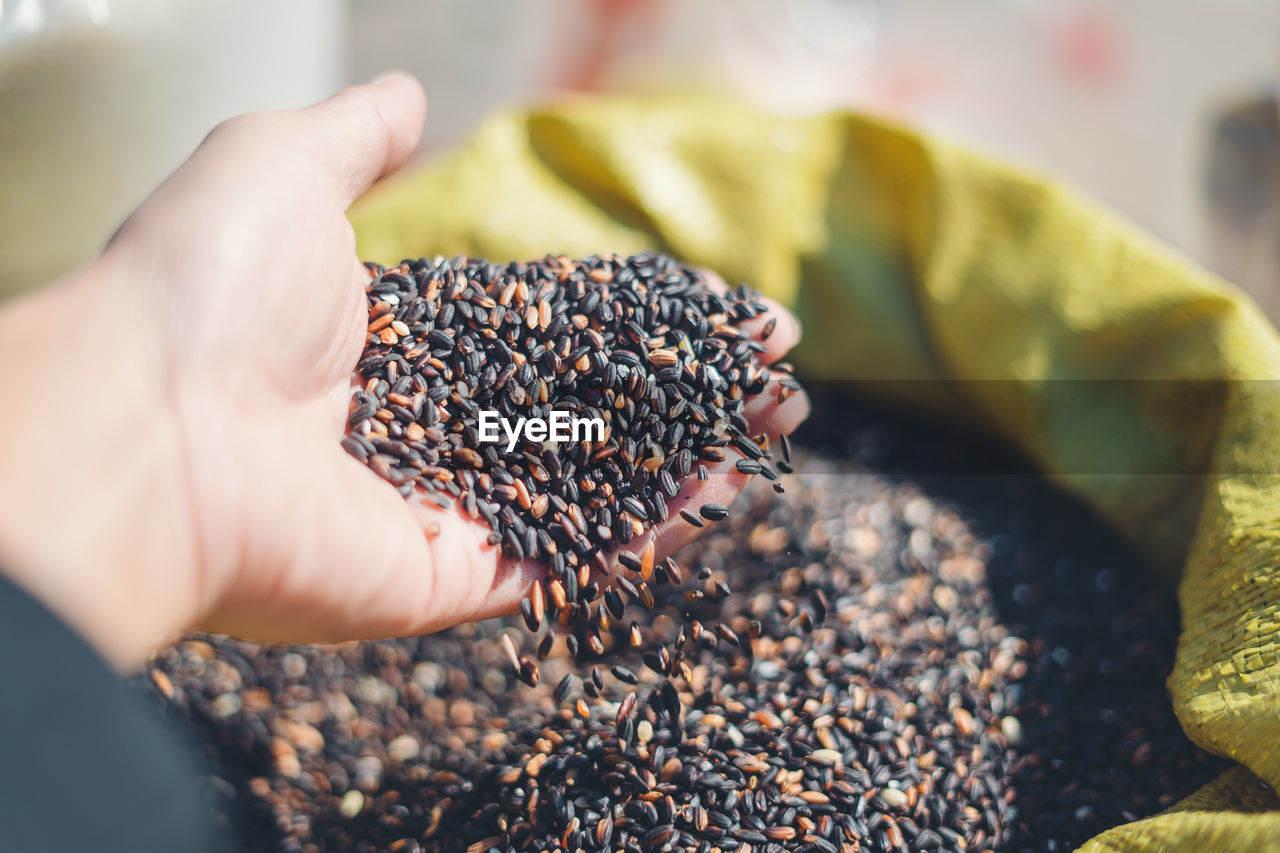 Cropped hand of person holding rice