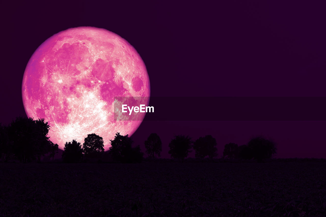 SCENIC VIEW OF PINK MOON OVER SILHOUETTE TREES