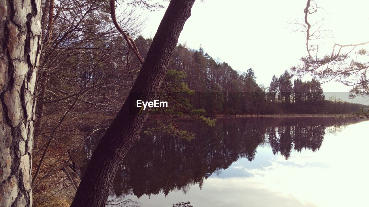 REFLECTION OF TREES IN LAKE AGAINST SKY IN FOREST