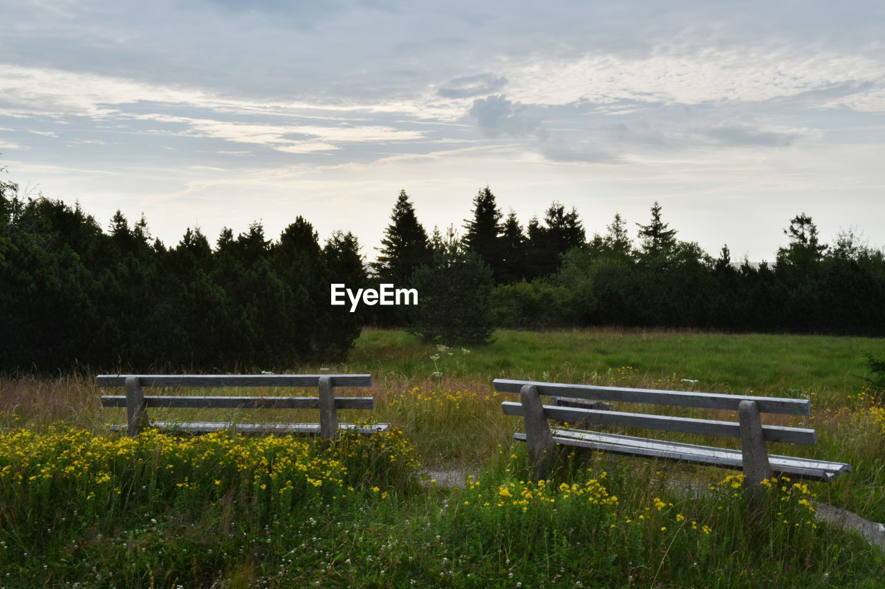 Empty bench on grassy field