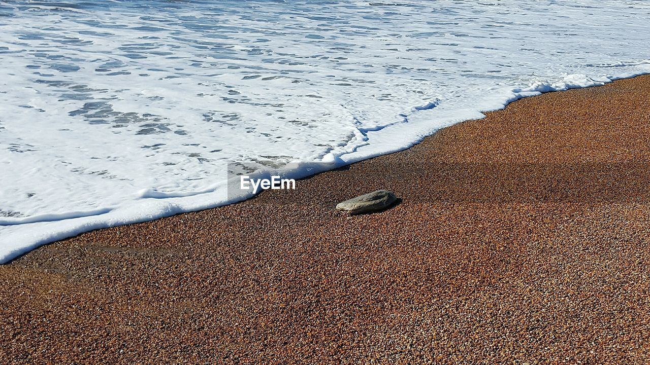 Scenic view of beach