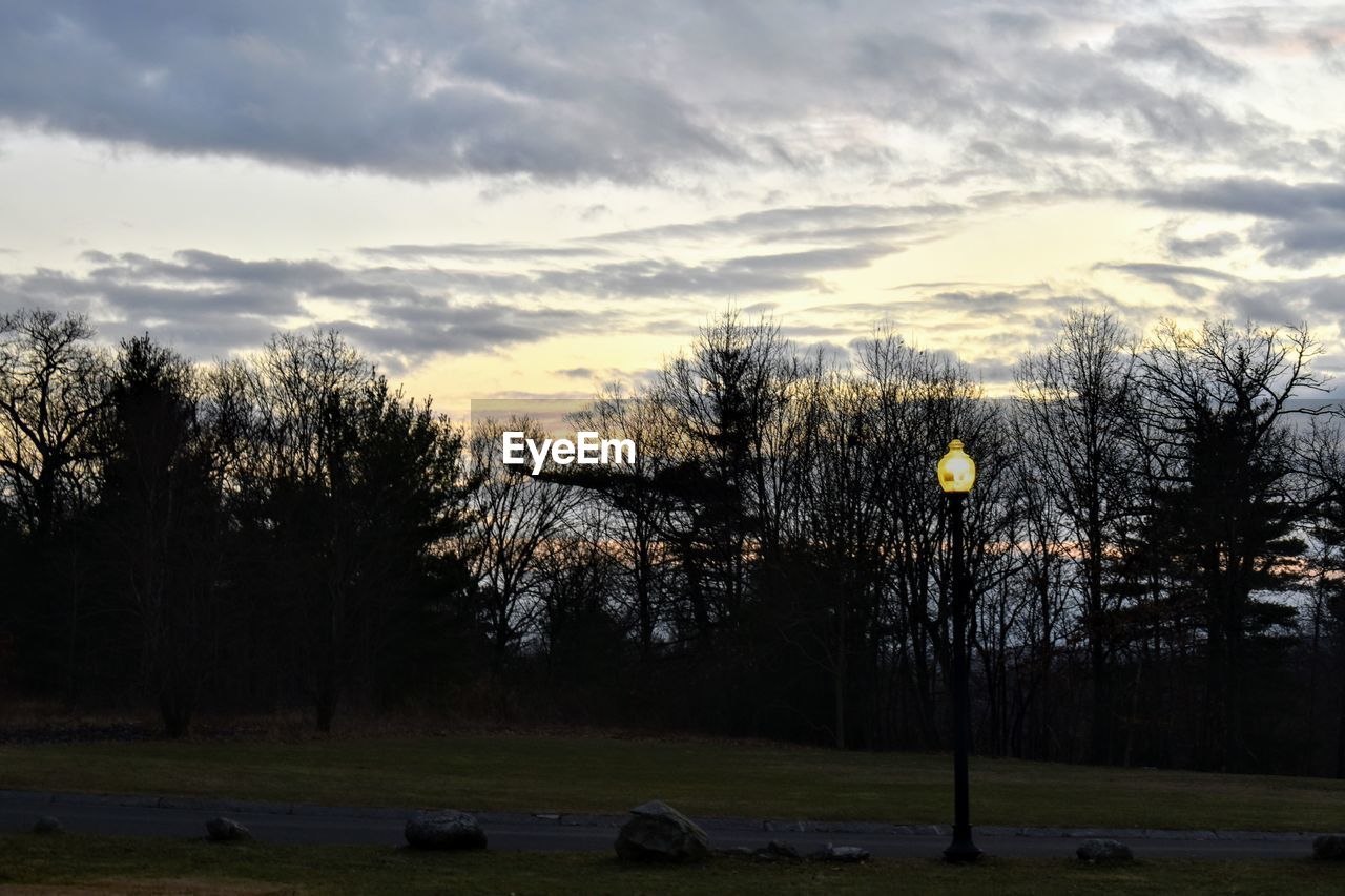 TREES ON FIELD AGAINST SKY