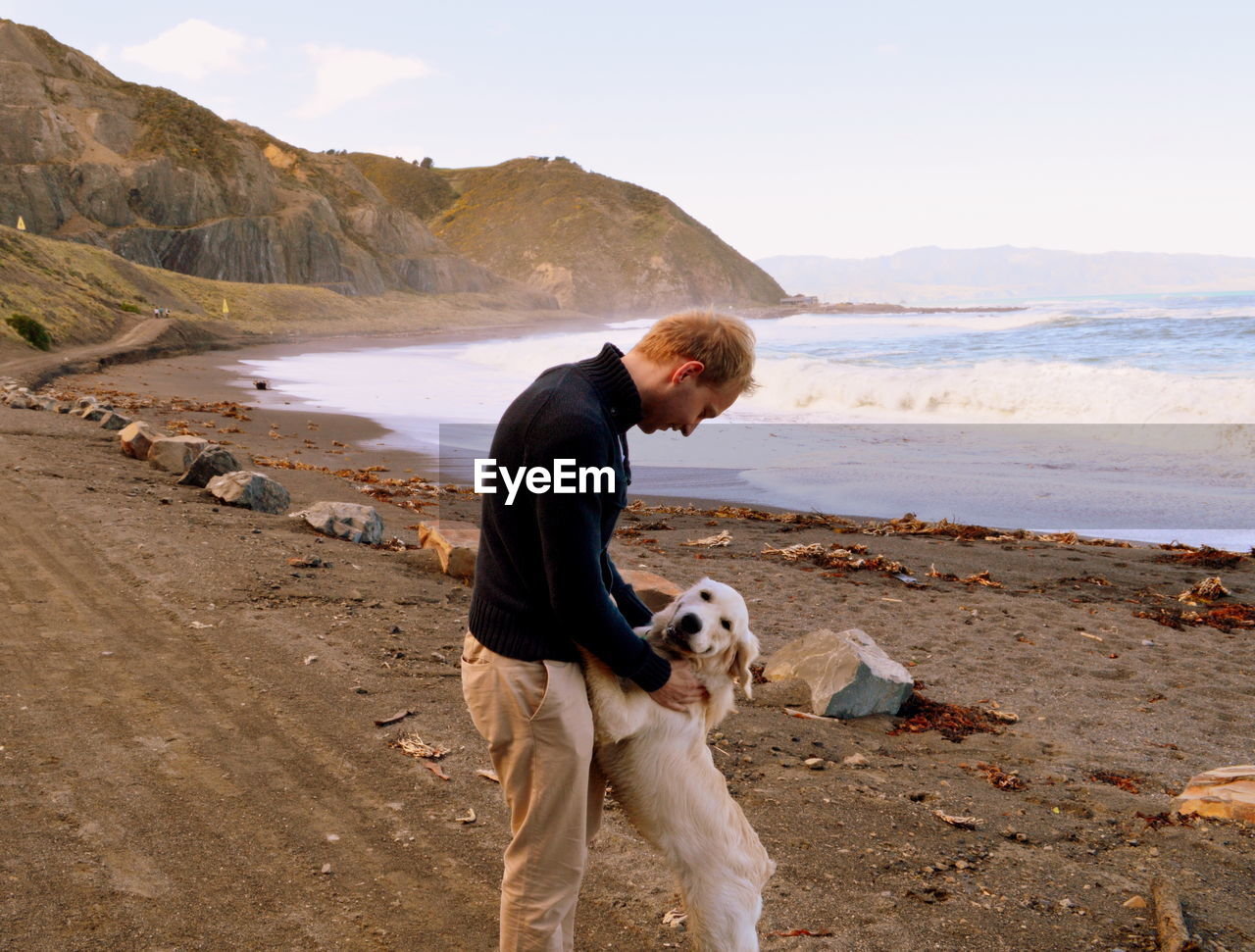 Dog standing on beach