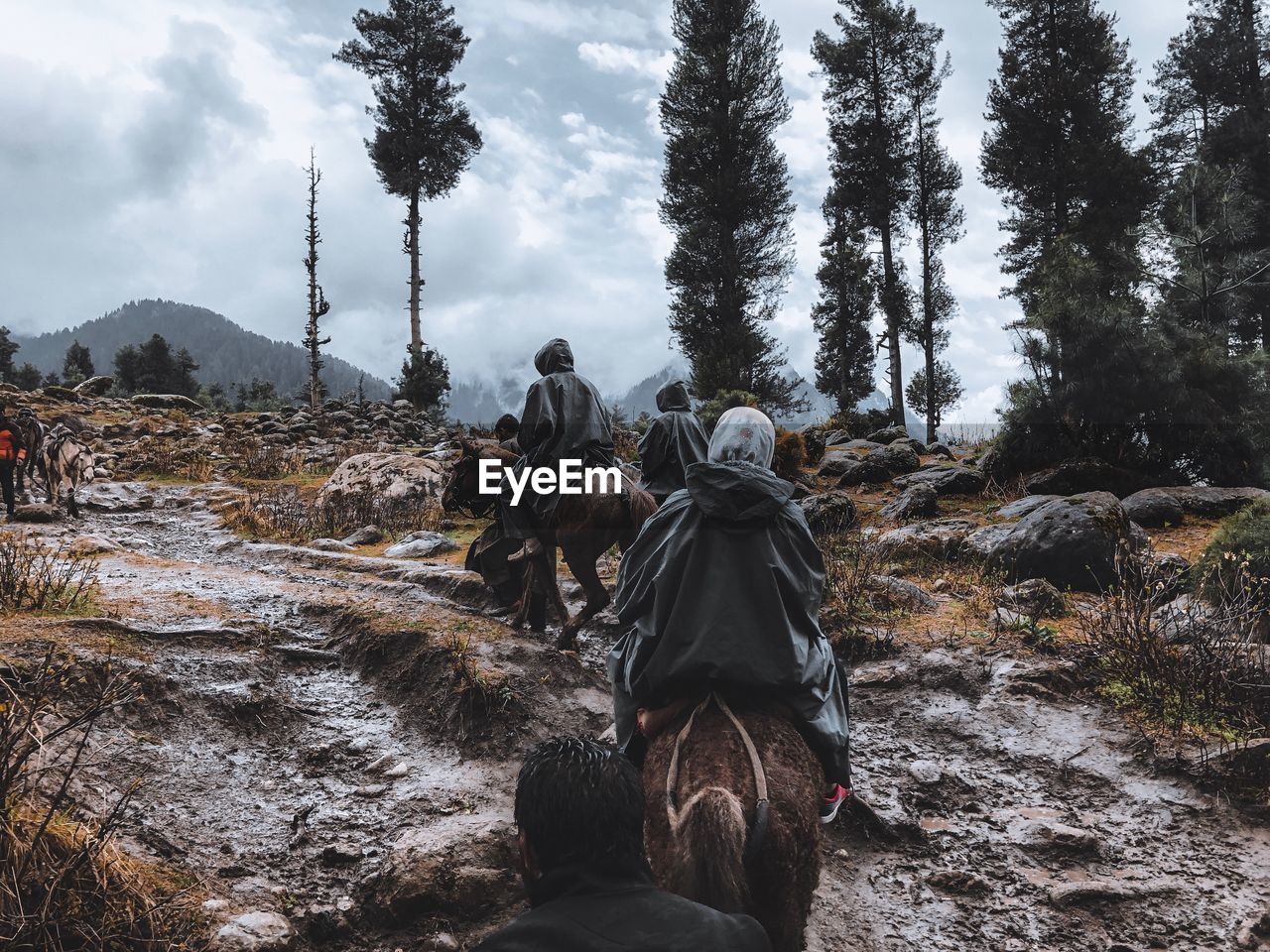 Rear view of people riding horses through hills