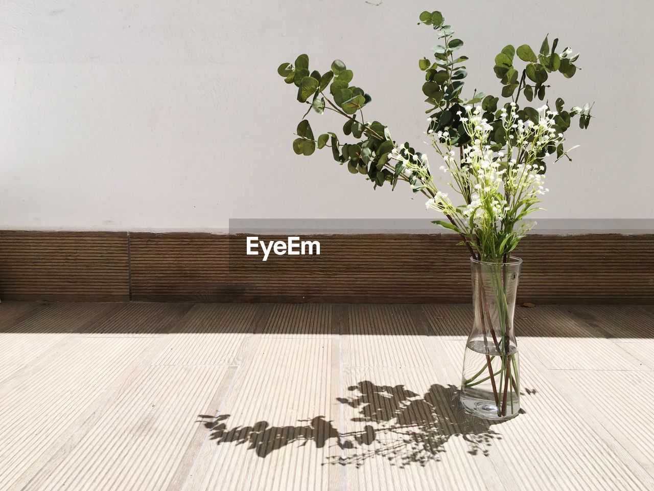 Potted plant on floor against wall