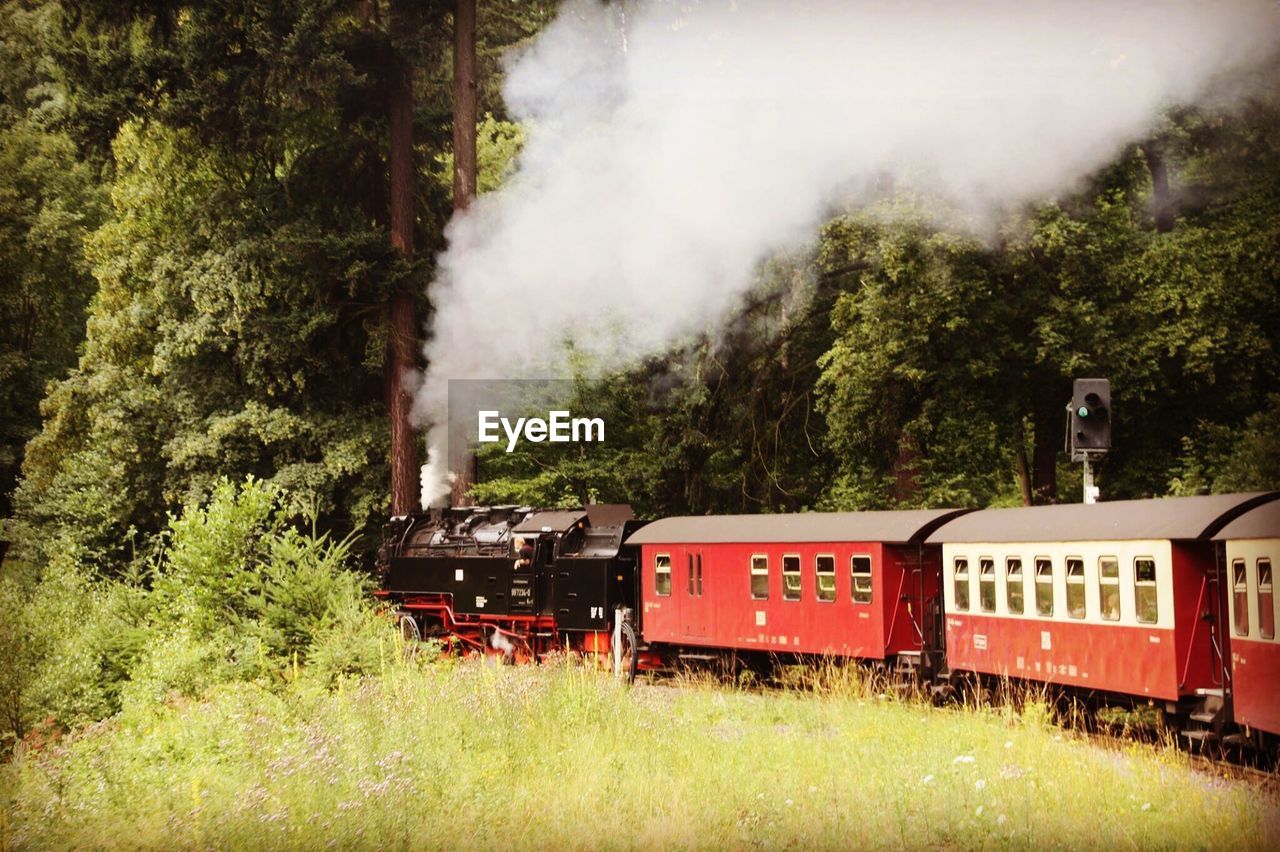 Steam train on grassy field against trees