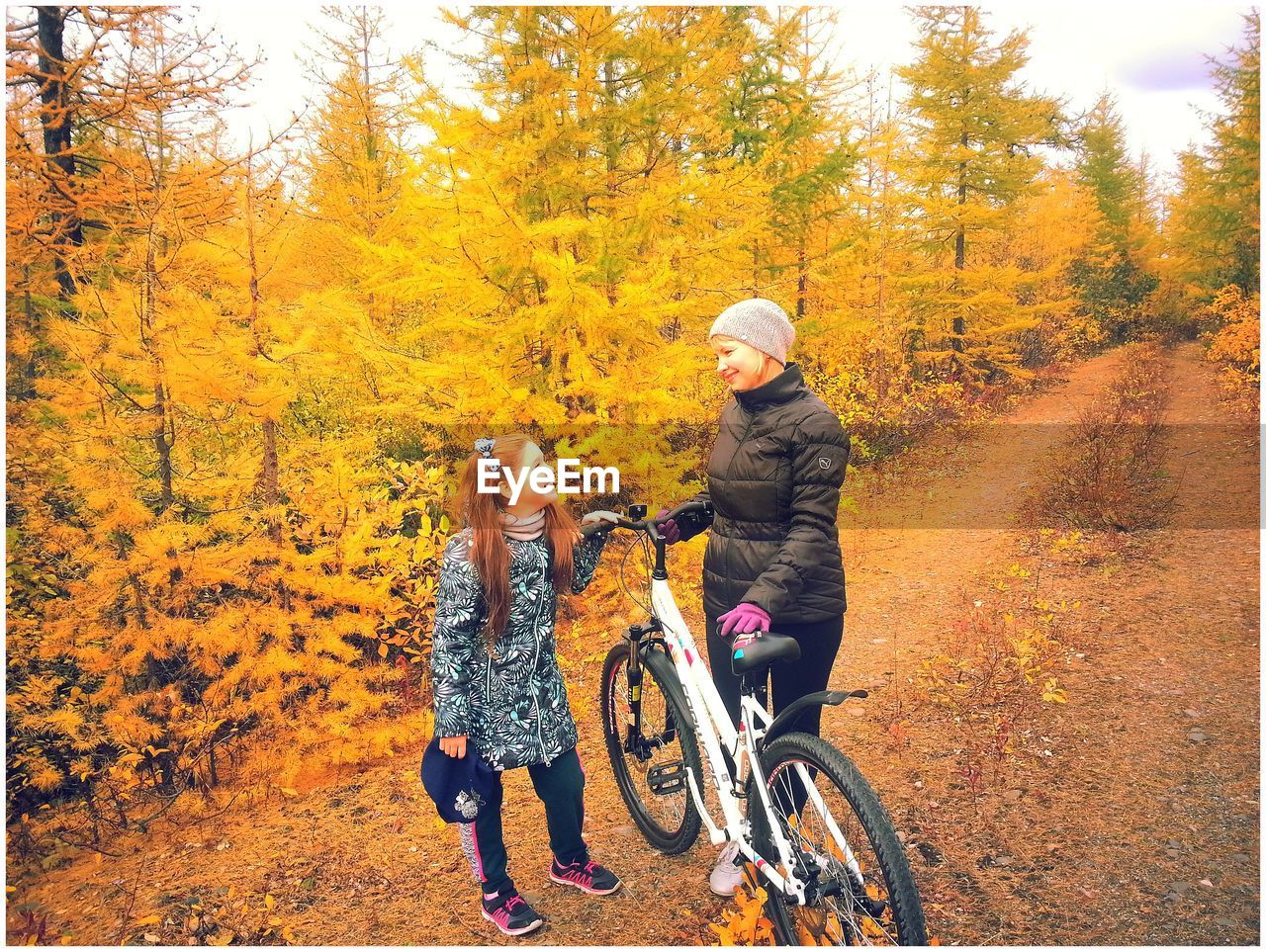 WOMAN RIDING BICYCLE ON AUTUMN TREE