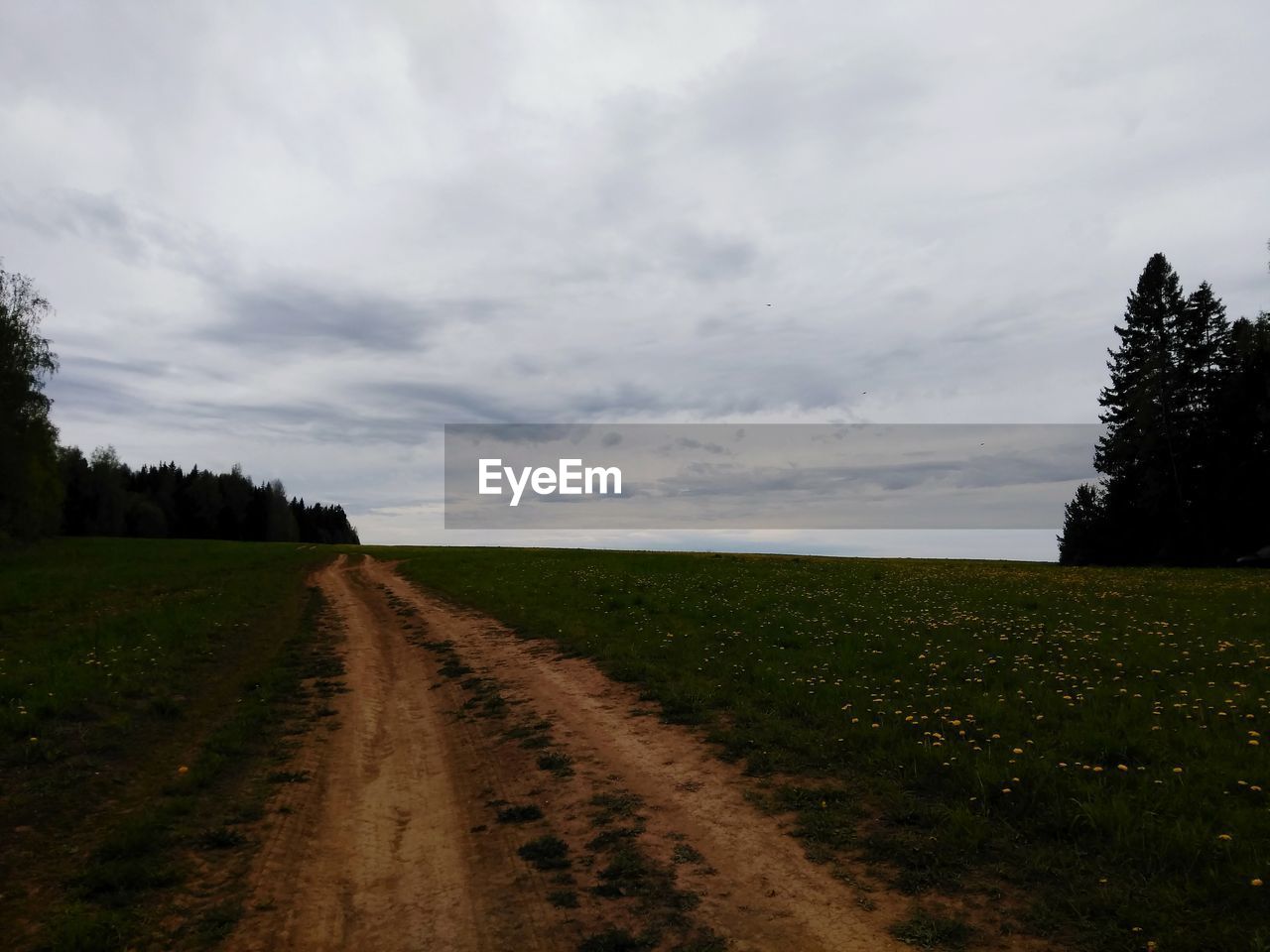 VIEW OF FIELD AGAINST SKY