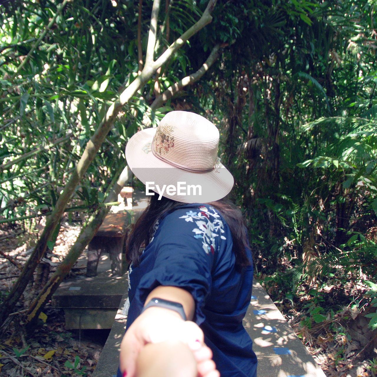 Woman holding hands while standing by trees in forest