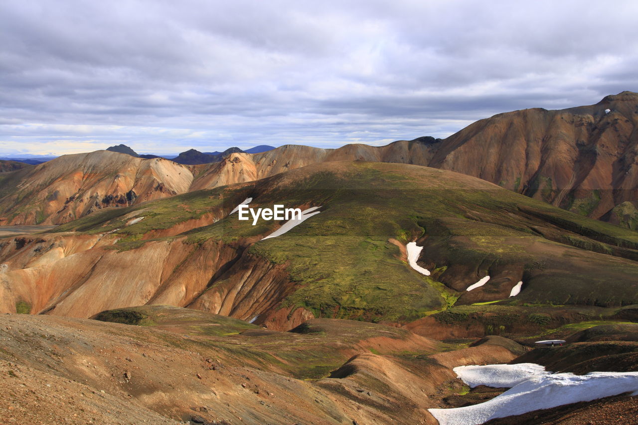 VIEW OF SHEEP ON LAND