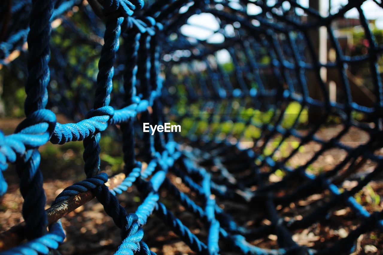 rope, blue, tree, branch, nature, day, flower, outdoors, plant, focus on foreground, forest, hanging, selective focus, leaf, strength, green, land