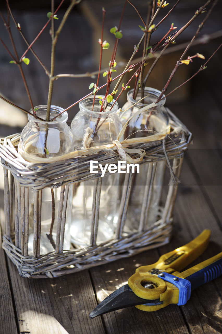 High angle view of plants in glass containers on table