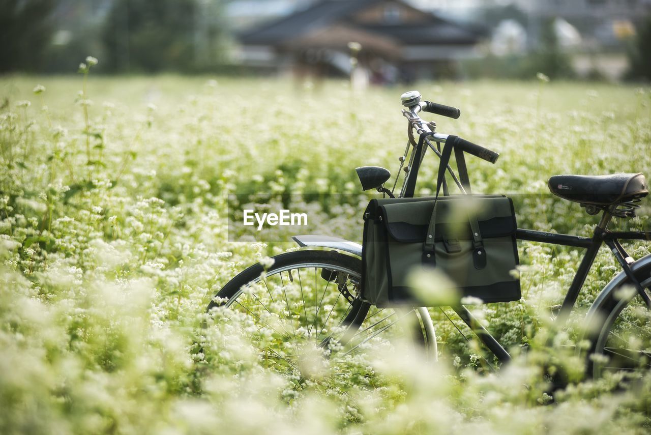 Close-up of bicycle in grassy field