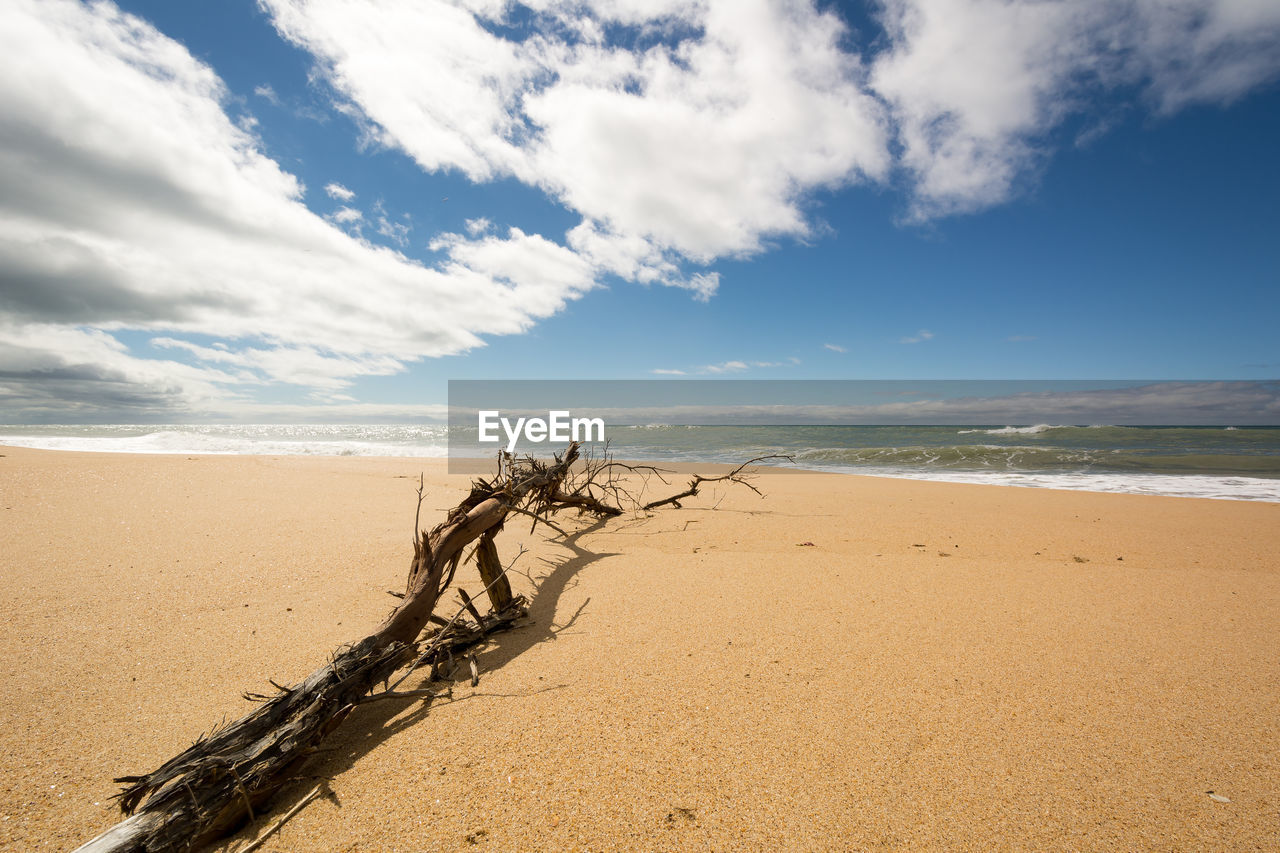 Scenic view of beach against sky