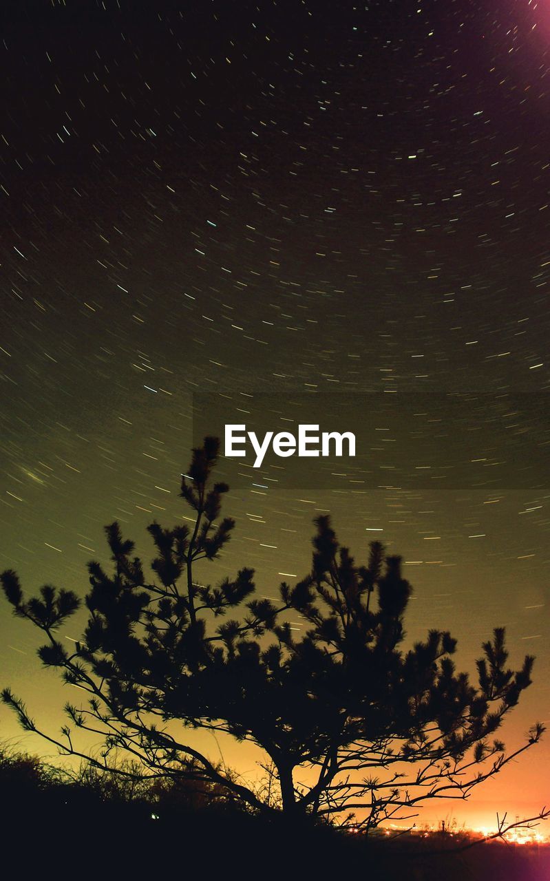 LOW ANGLE VIEW OF SILHOUETTE TREES AGAINST SKY AT DUSK