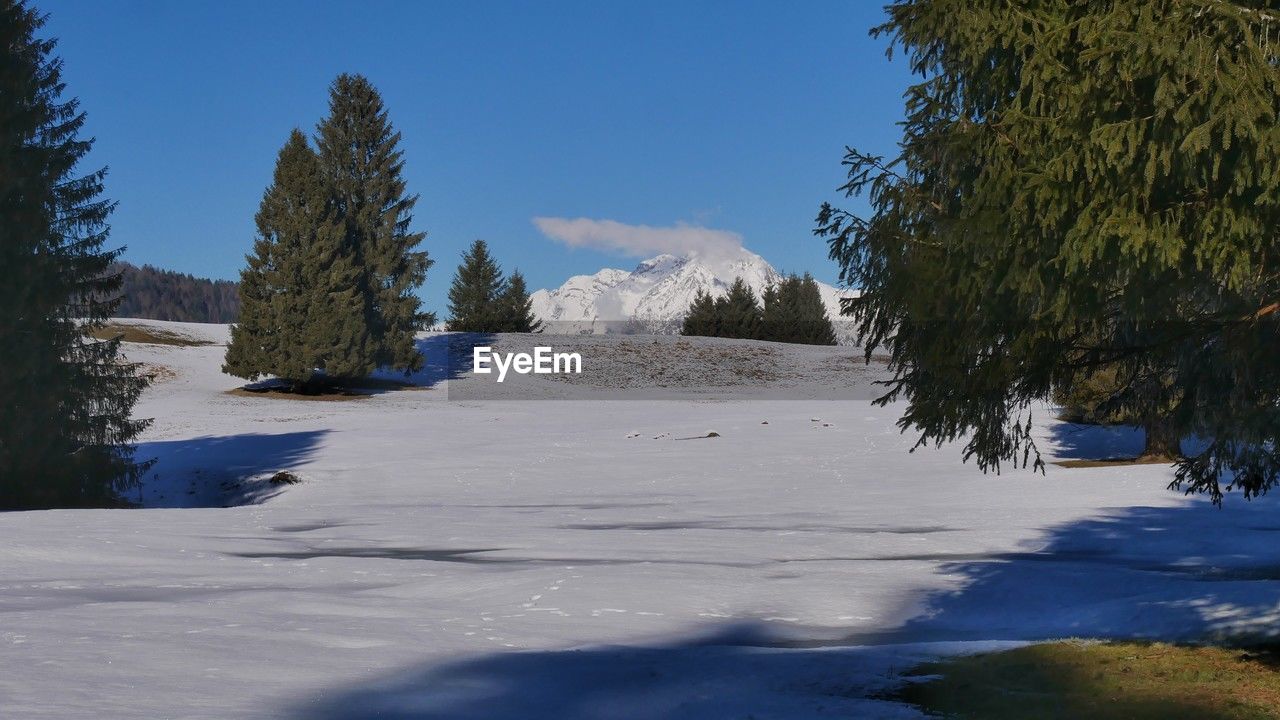 winter, snow, tree, cold temperature, plant, nature, scenics - nature, landscape, environment, sky, beauty in nature, coniferous tree, mountain, pine tree, pinaceae, wilderness, blue, land, no people, frozen, tranquility, tranquil scene, pine woodland, non-urban scene, mountain range, day, water, sunlight, outdoors, forest, ice, travel destinations, travel, white, clear sky, freezing, reflection