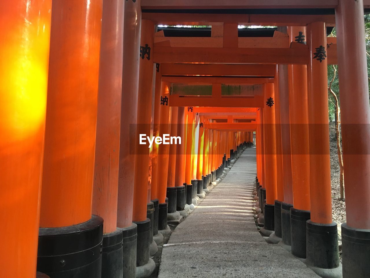 Walkway in torii gate