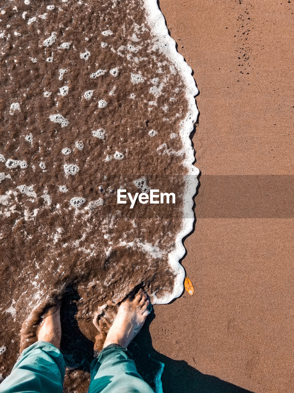 Low section of man standing on beach