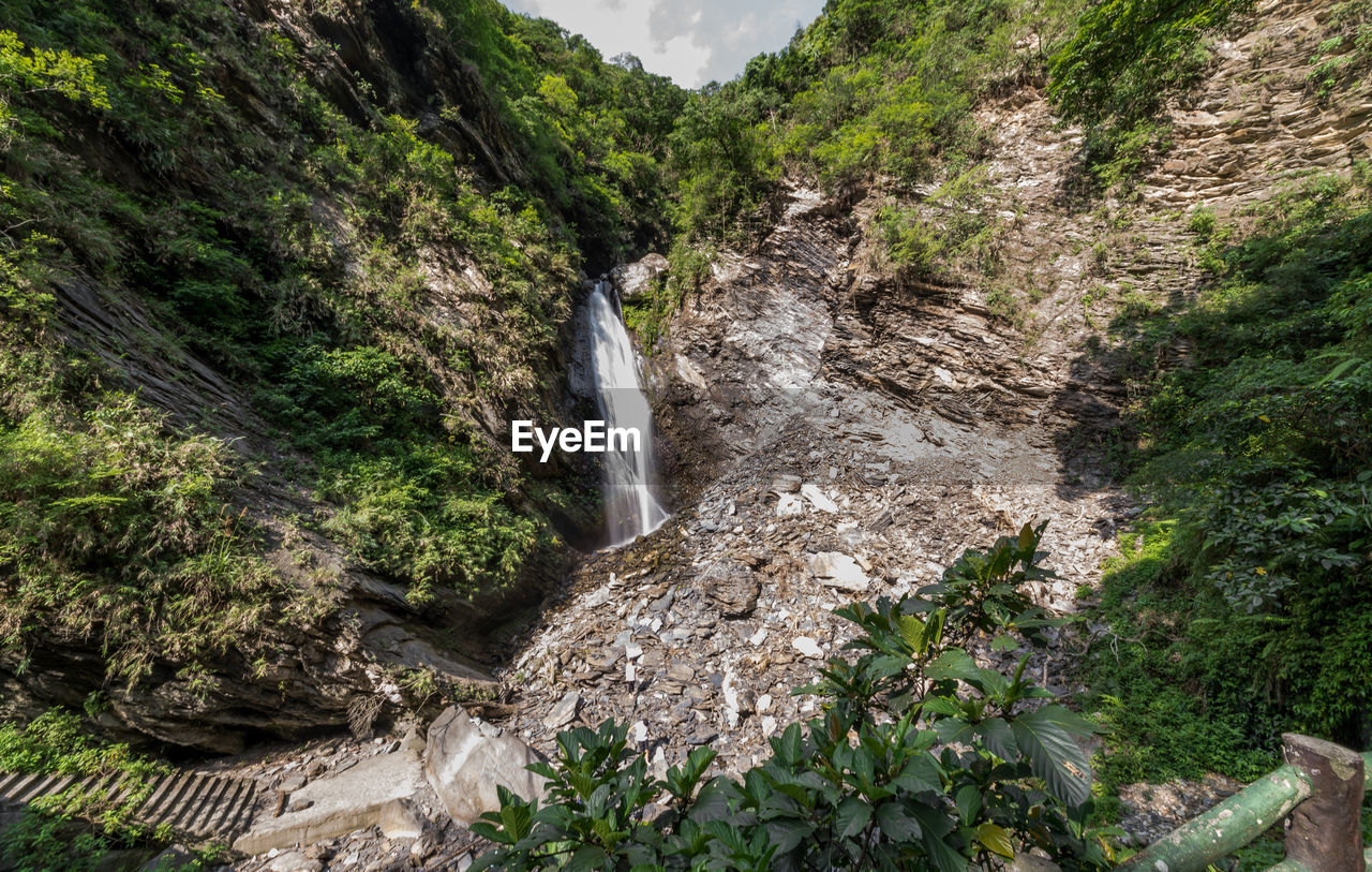 Scenic view of waterfall in forest