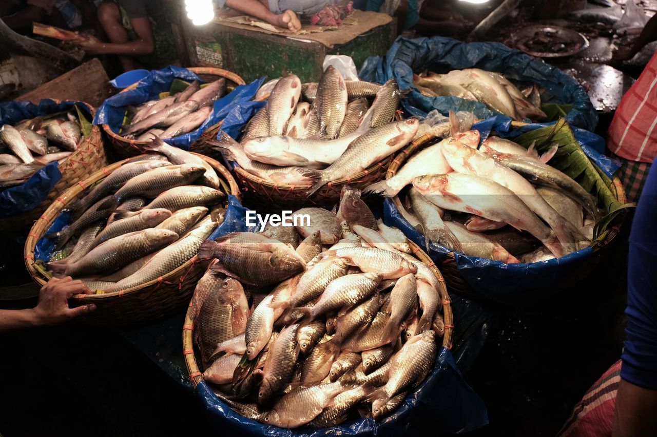 HIGH ANGLE VIEW OF FISH FOR SALE