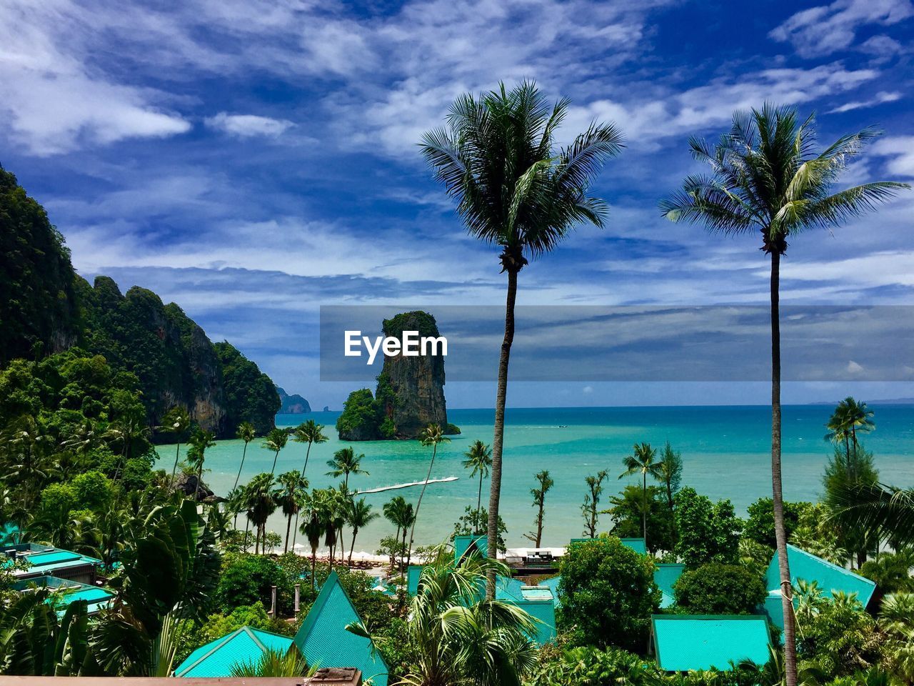 PANORAMIC SHOT OF PALM TREES AGAINST CALM SEA