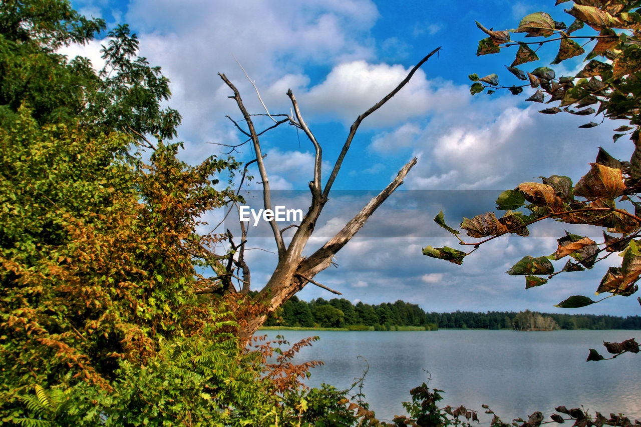 Scenic view of lake and trees against sky