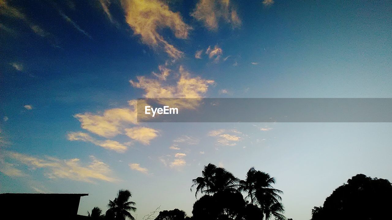 LOW ANGLE VIEW OF SILHOUETTE TREES AGAINST SKY DURING SUNSET