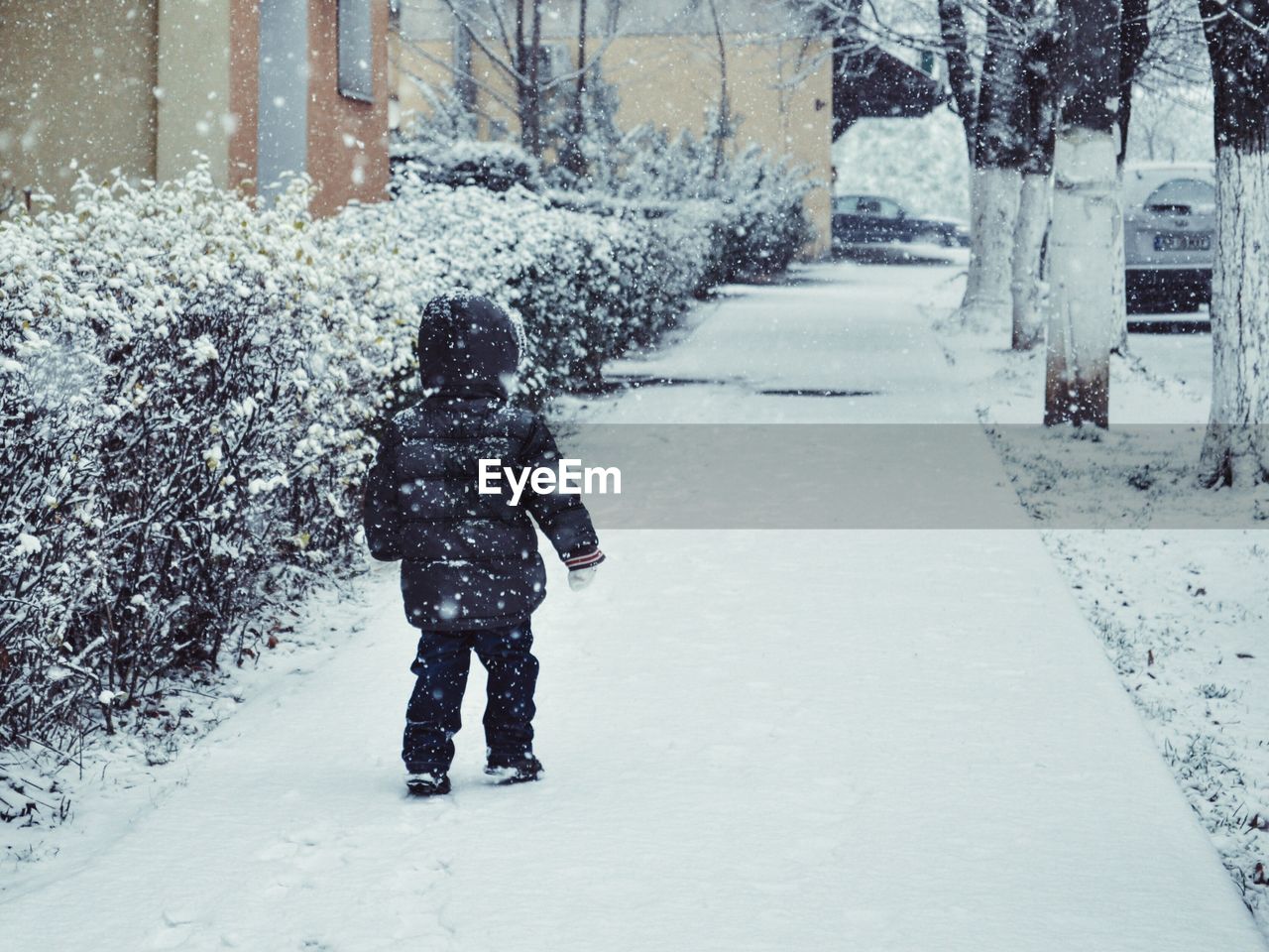 Rear view of kid in warm clothing walking on sidewalk under blizzard
