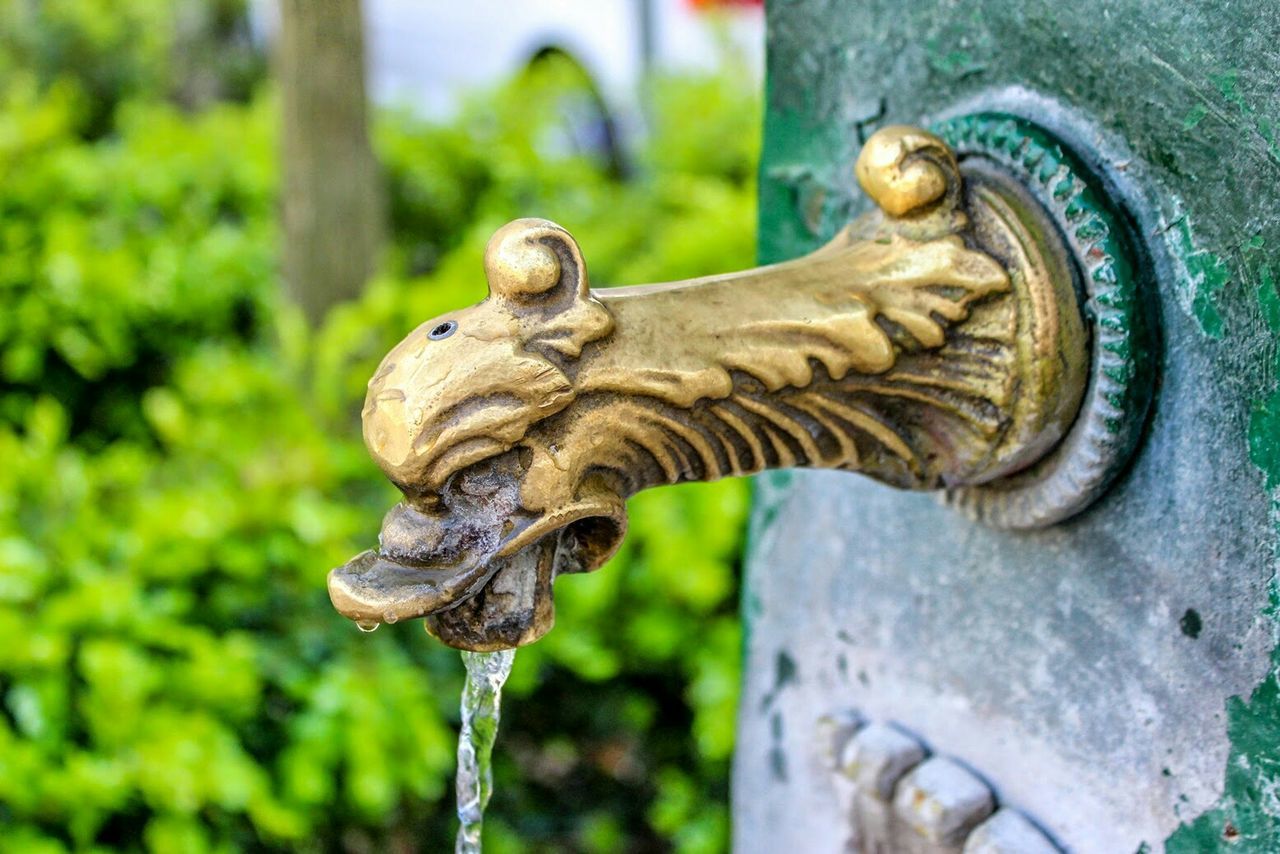 Close-up of duck fountain spouting water