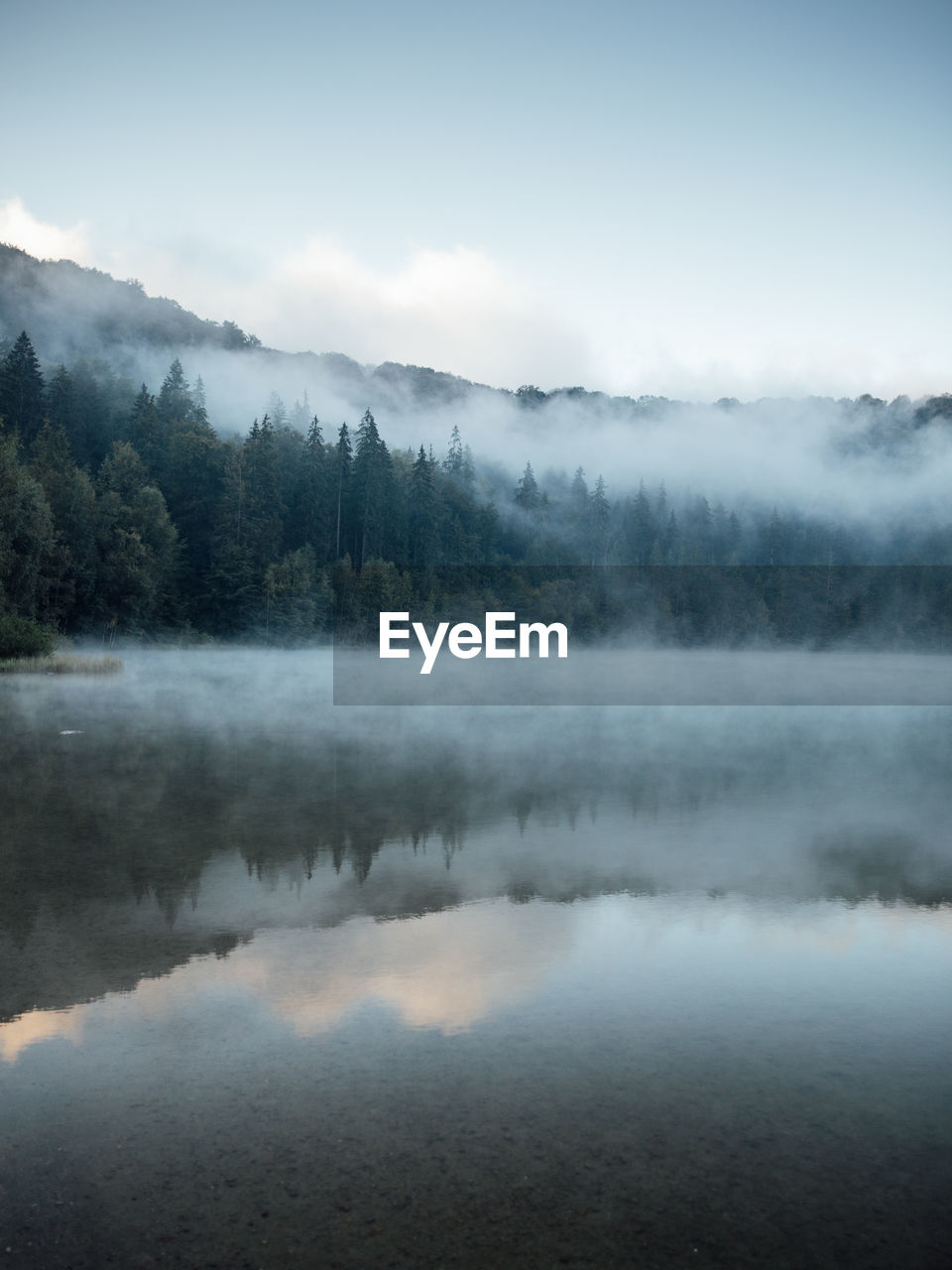 Foggy lake scape and vibrant autumn colors in trees at sunrise. concepts tranquility, nature,fog