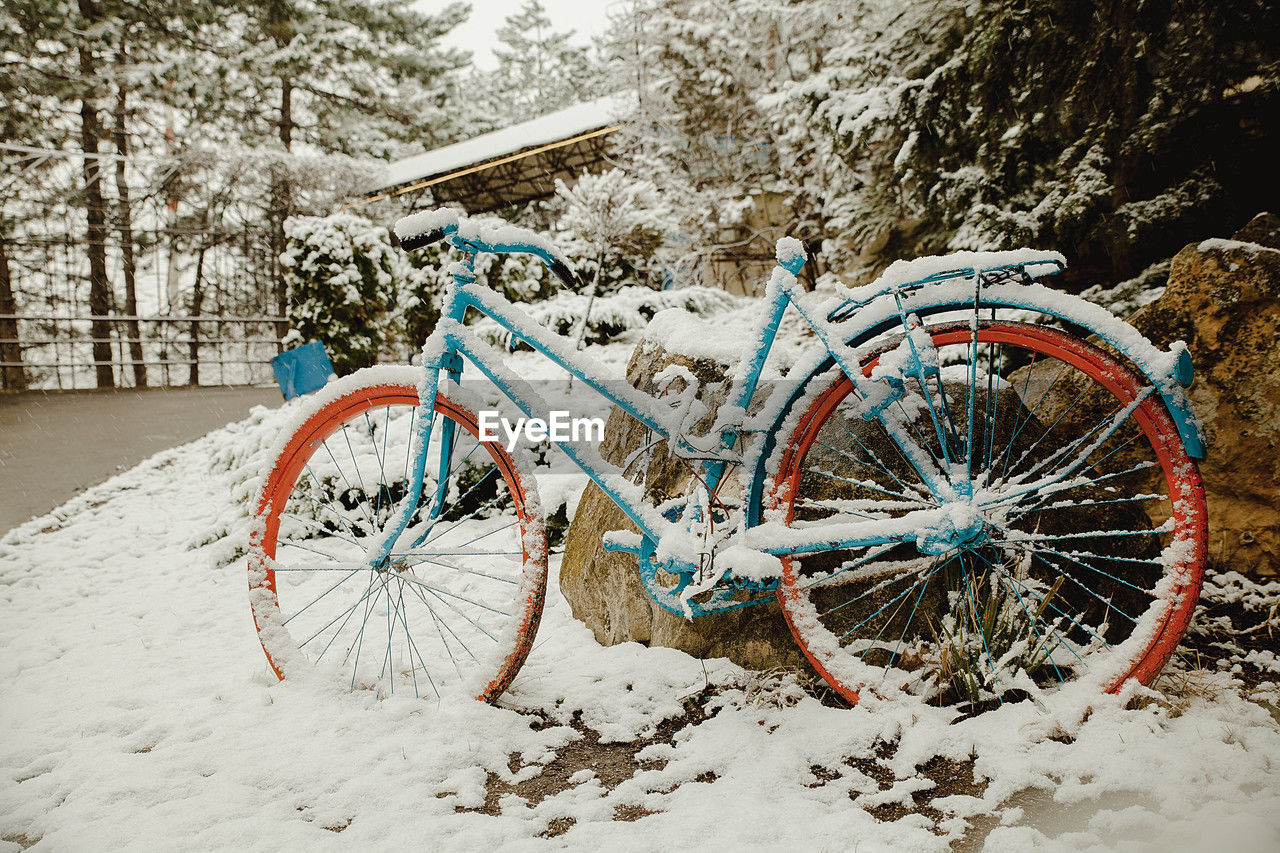 snow, transportation, bicycle, winter, mode of transportation, cold temperature, nature, tree, land vehicle, vehicle, no people, land, cycle sport, sports equipment, plant, day, mountain bike, bicycle racing, wheel, outdoors, travel, road bicycle, white, parking, frozen