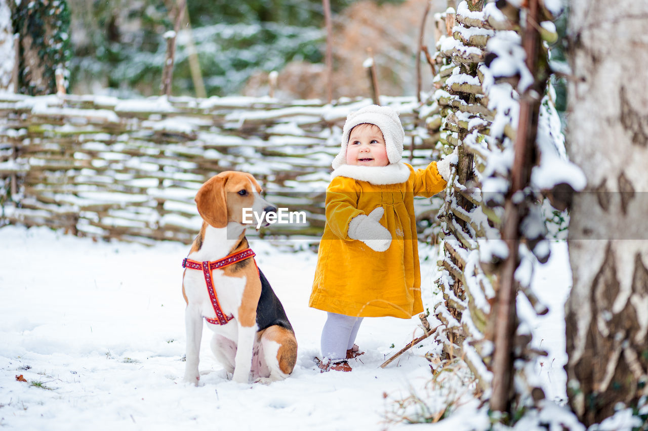 Cute baby girl with beagle by fence on snow covered field