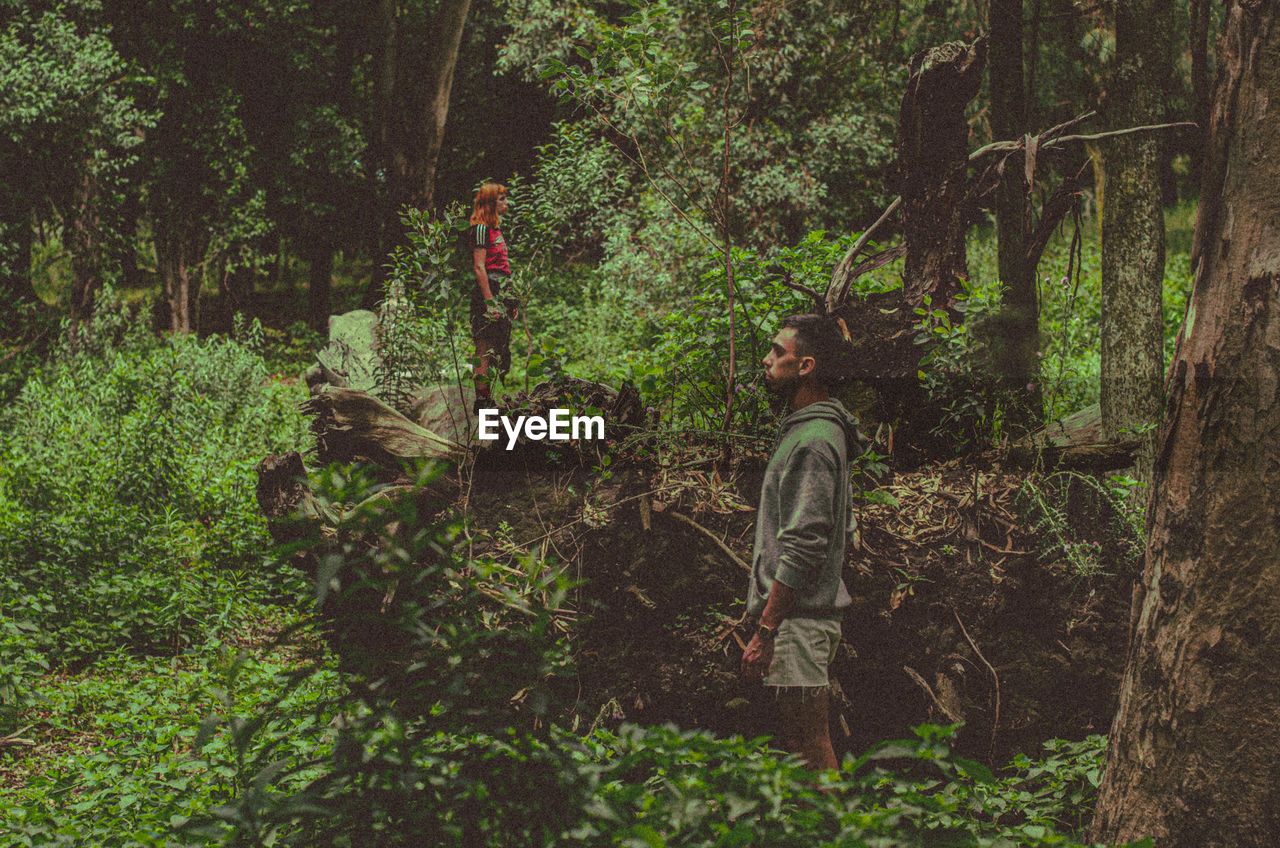 Rear view of man standing amidst trees in forest