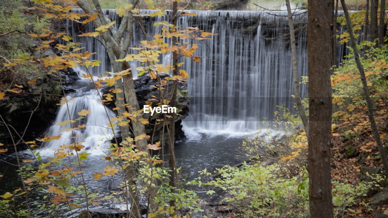 WATERFALL IN FOREST