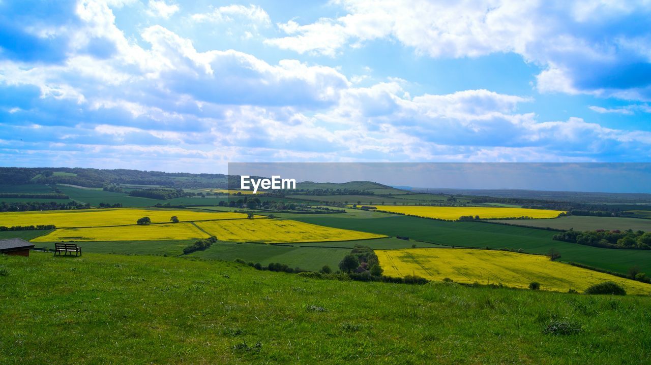 Scenic view of field against sky