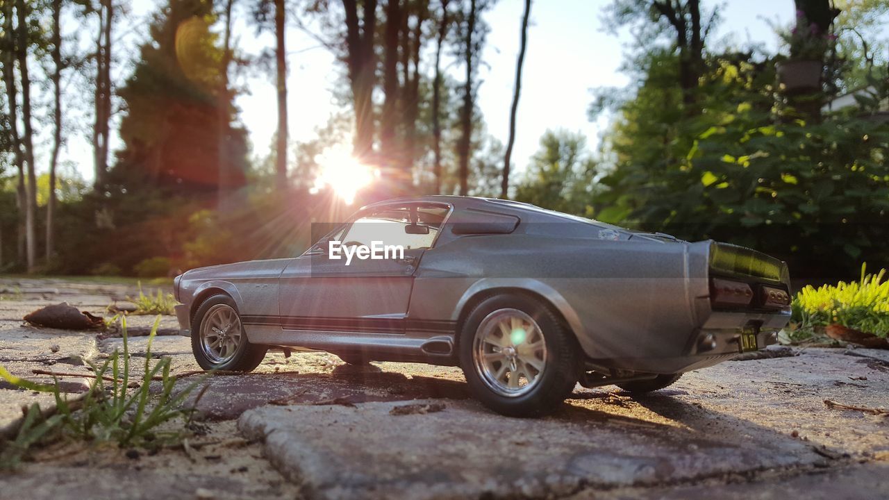 Toy car on field against trees