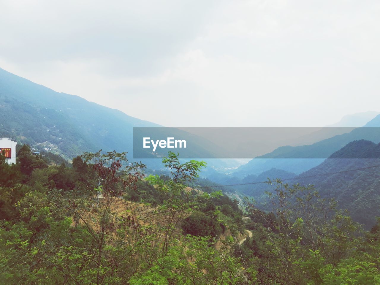 SCENIC VIEW OF TREES AND MOUNTAINS AGAINST SKY