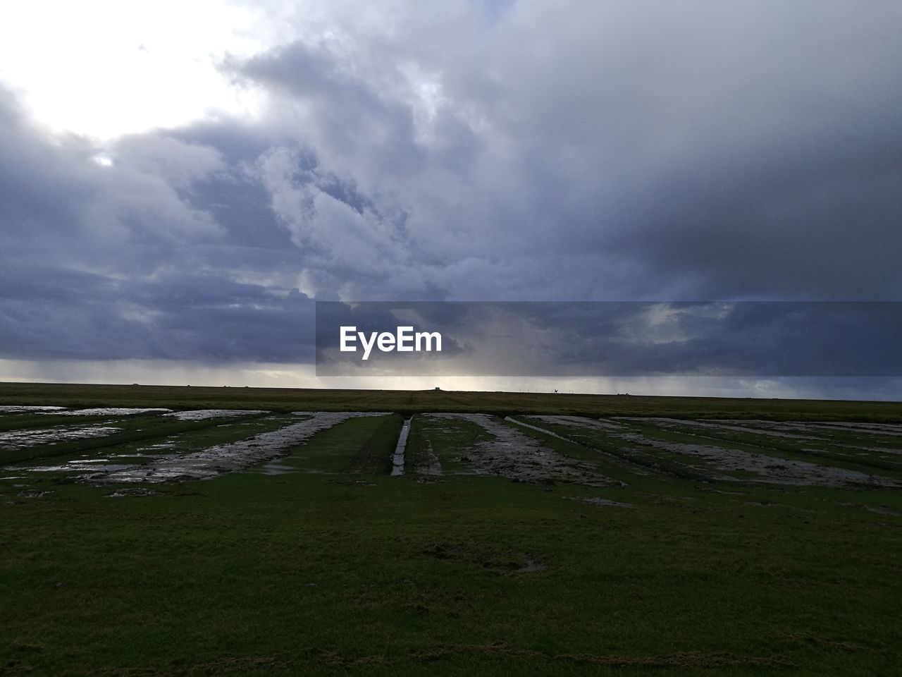 PANORAMIC VIEW OF FIELD AGAINST SKY