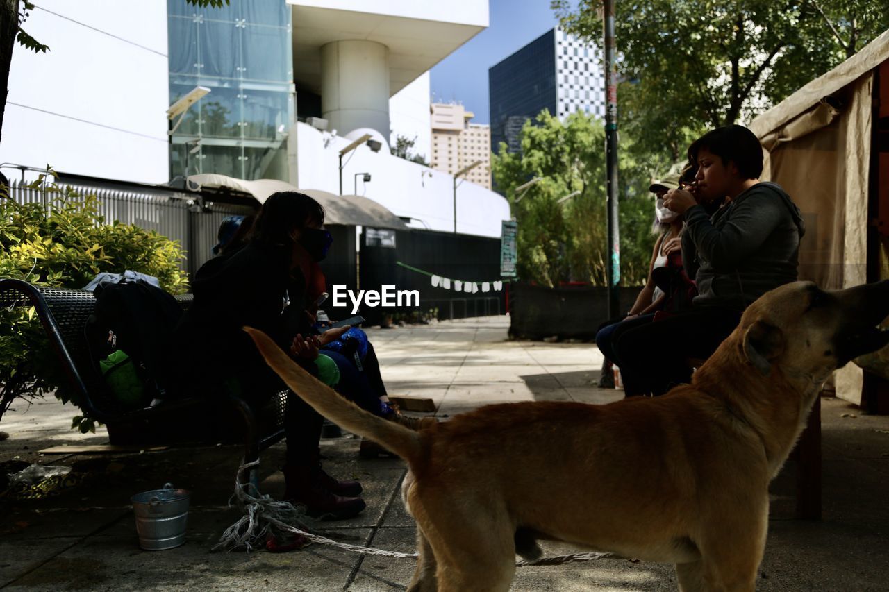 MAN AND DOG ON STREET AT HOME