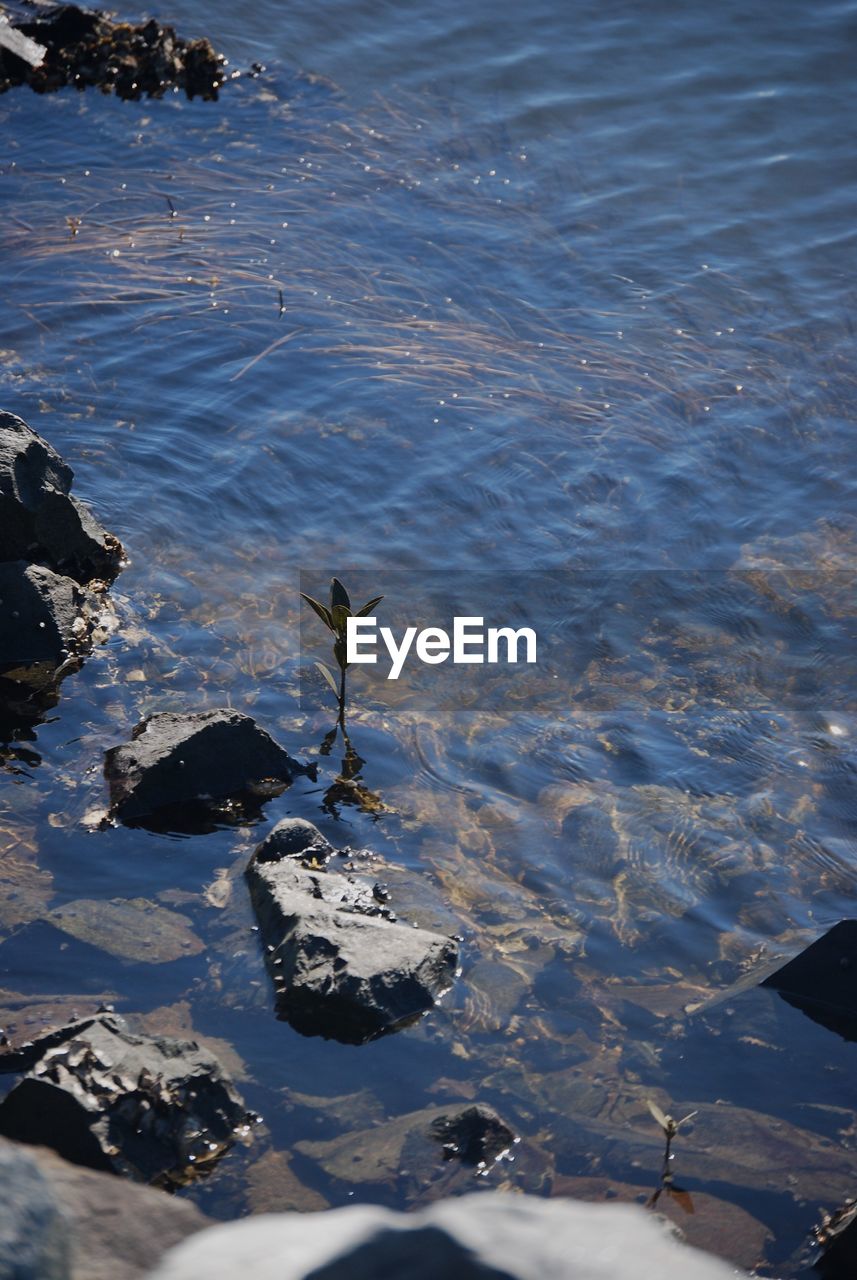 SCENIC VIEW OF WATER FLOWING IN SEA