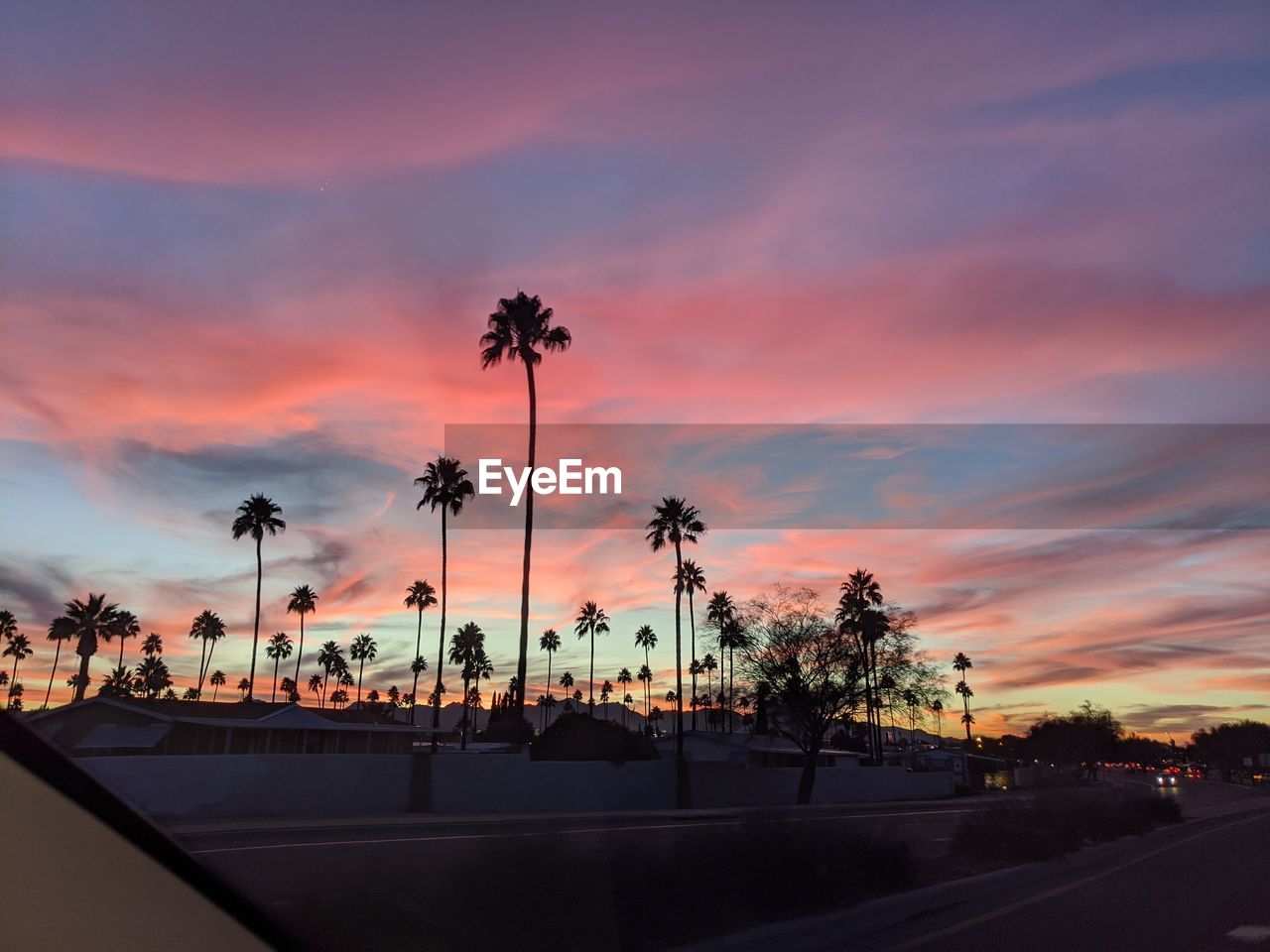 Silhouette palm trees against sky during sunset