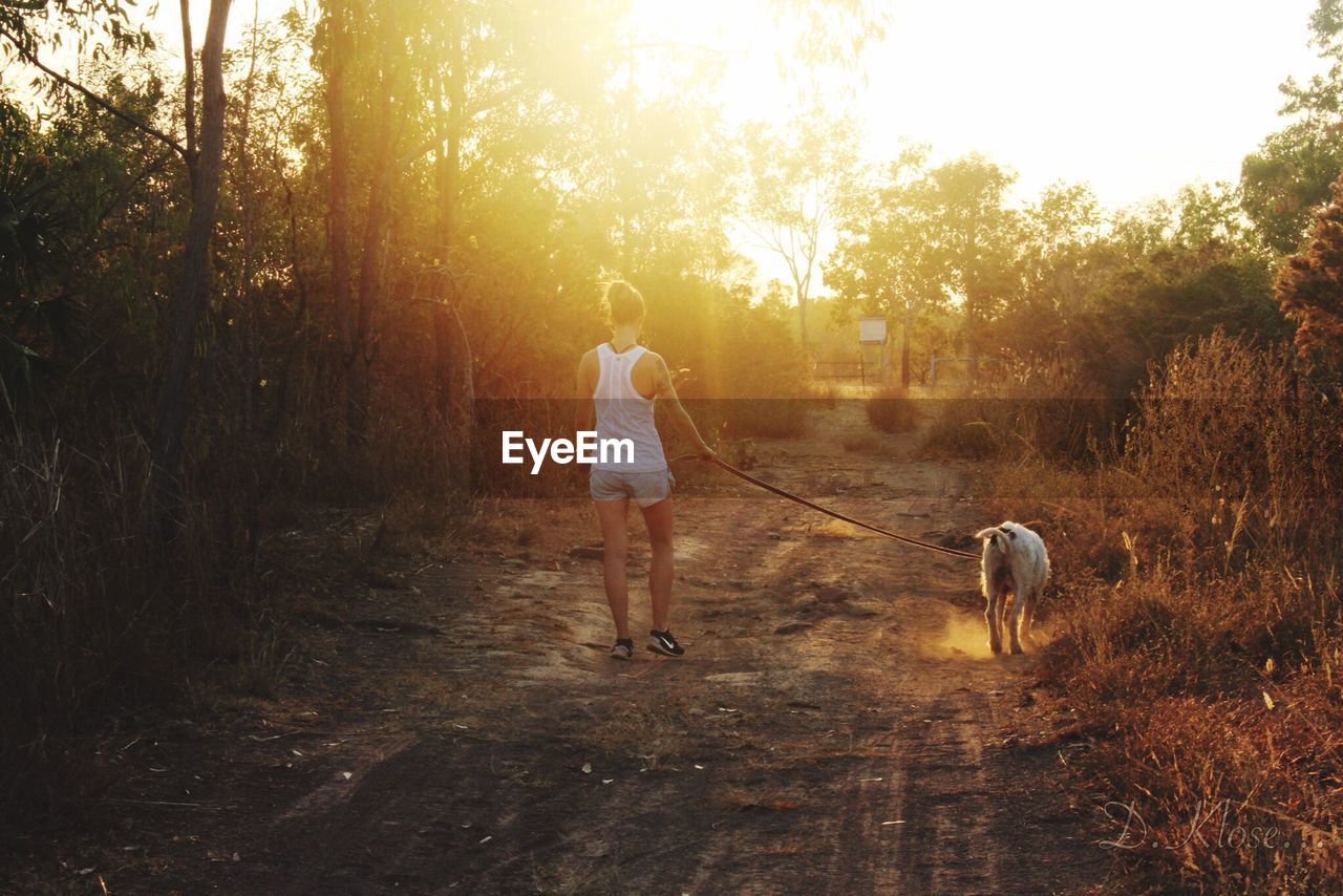 Rear view of woman with dog walking on footpath during sunny day