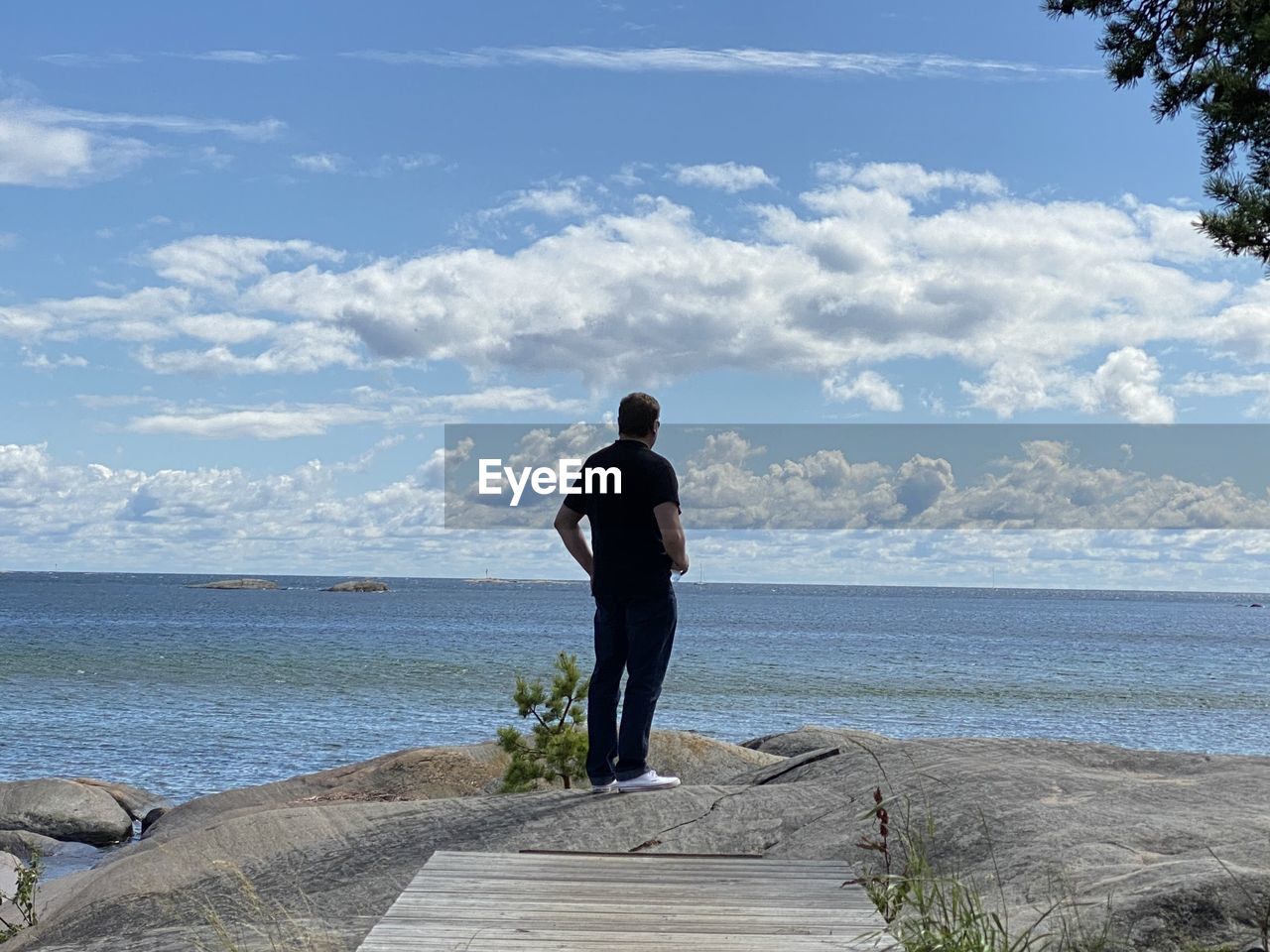 Rear view of man looking at sea against sky