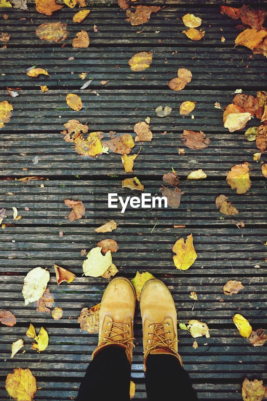 Low section of person standing with autumn leaves on footpath