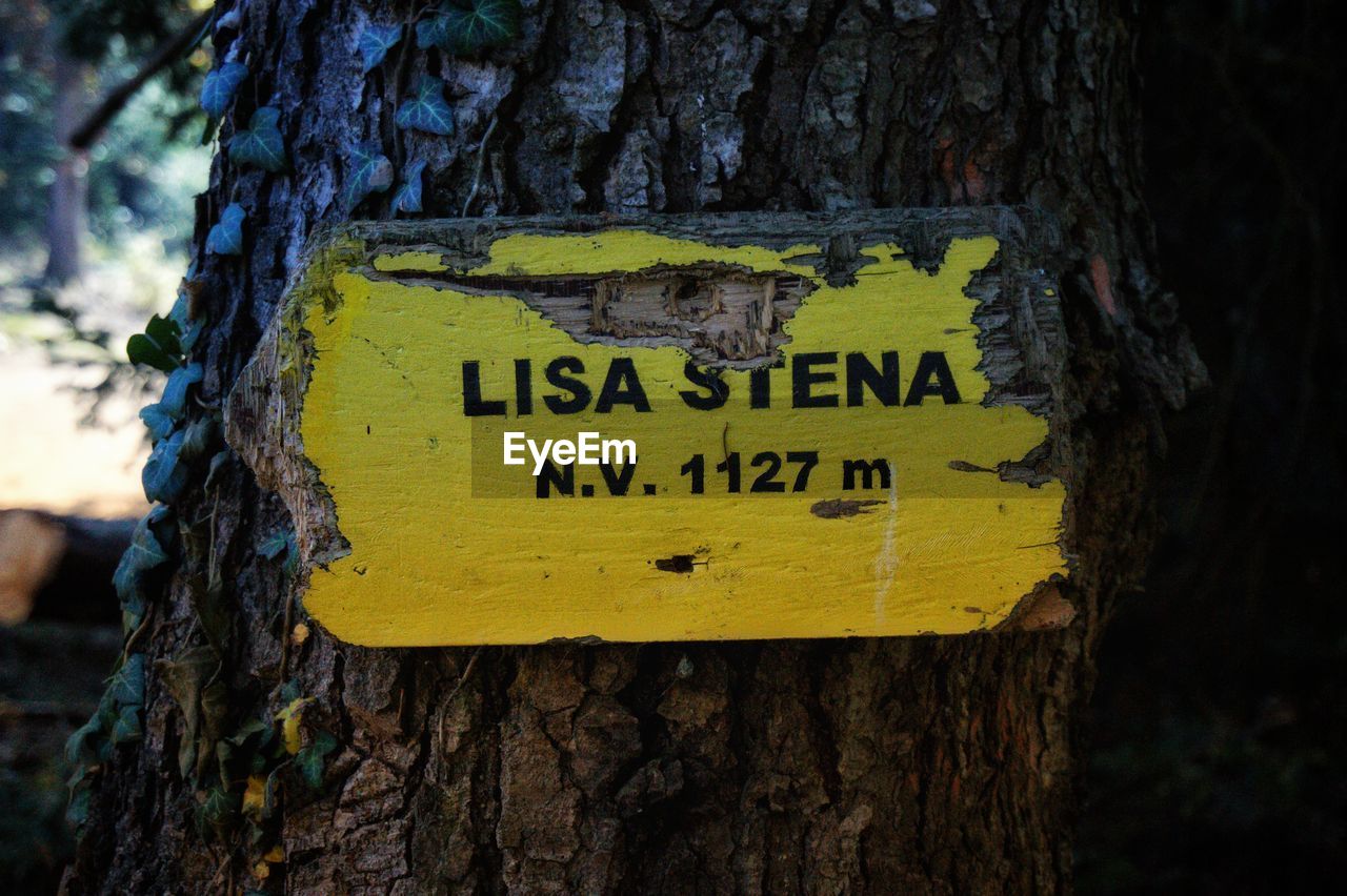 Close-up of yellow sign on tree trunk