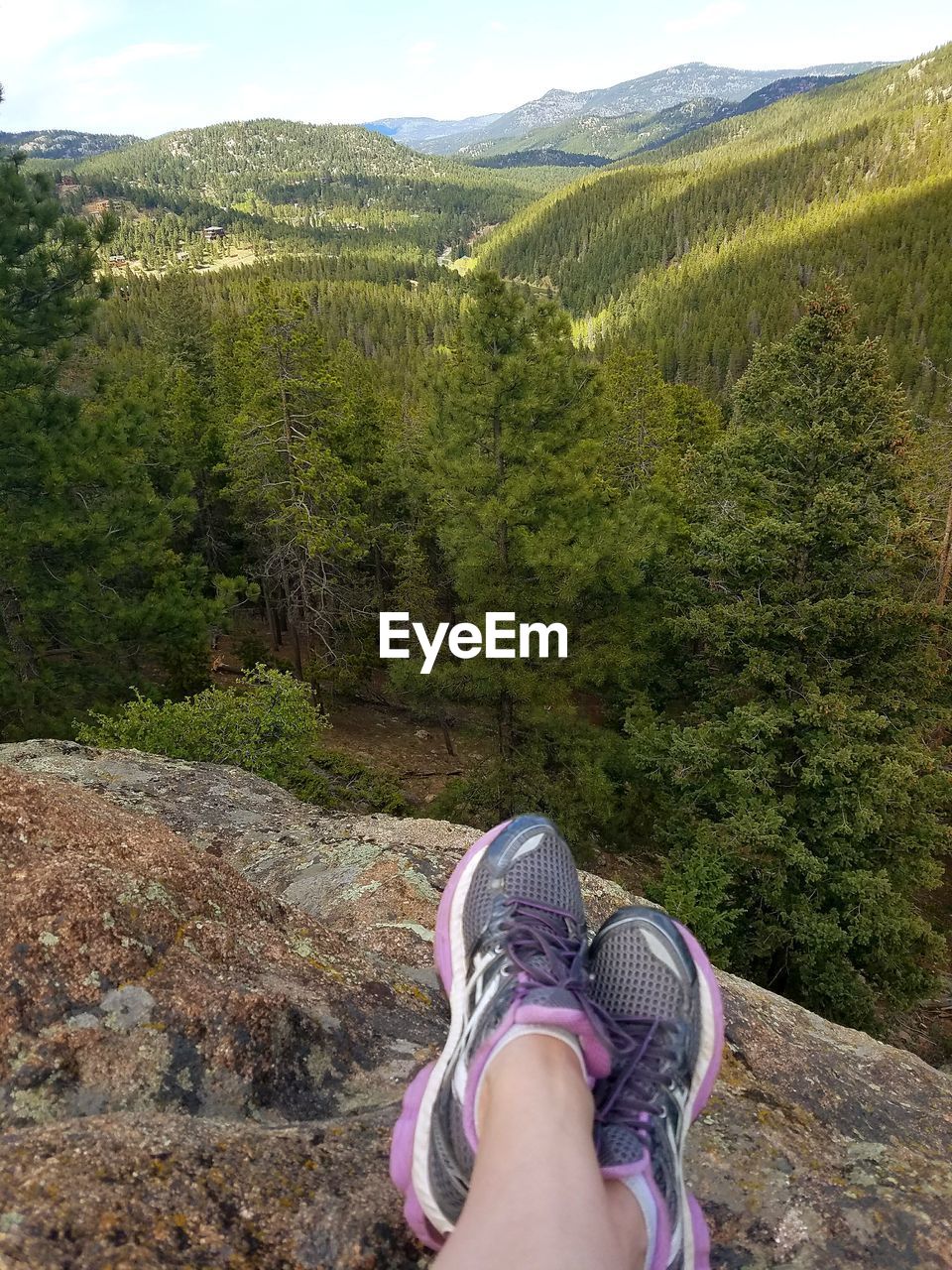 LOW SECTION OF WOMAN STANDING ON TREE