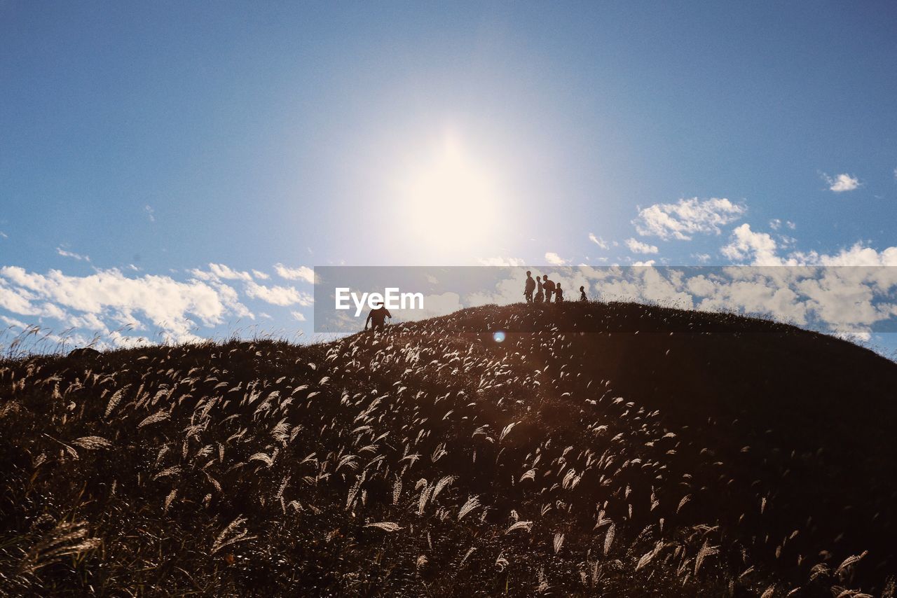 Silhouette friends standing on hill against sky during sunny day