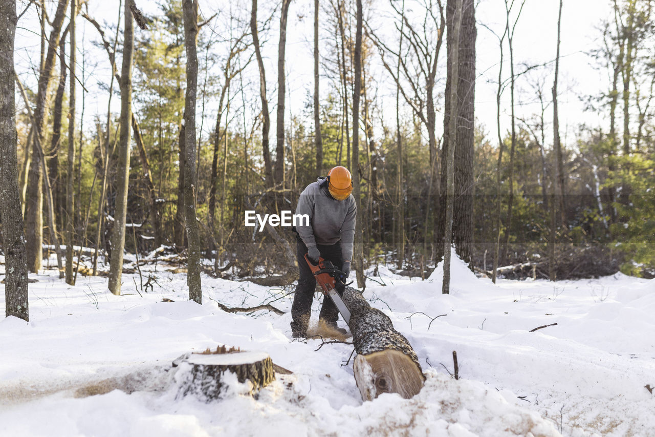 Lumberjack cutting tree trunk on snow covered filed in forest
